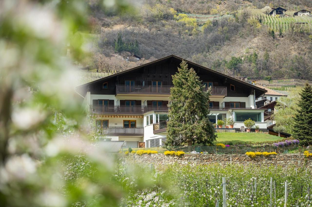 Pension Apartments Pardell Кастелбело Екстериор снимка